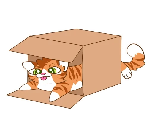 Rudy kot rozciągnięty w pudełku